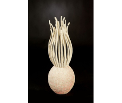 Лампа, модель «LAMPADA TANUS CONCHIGLIA/COCCO»