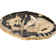 eichholtz_112312_3