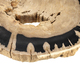 eichholtz_112312_4