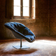 moroso-bohemian-bh0-061_4