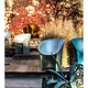 moroso-moon-mu0-361_7