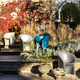 moroso-moon-mu0-361_8