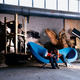 moroso-victoria-and-albert-va0-048_6